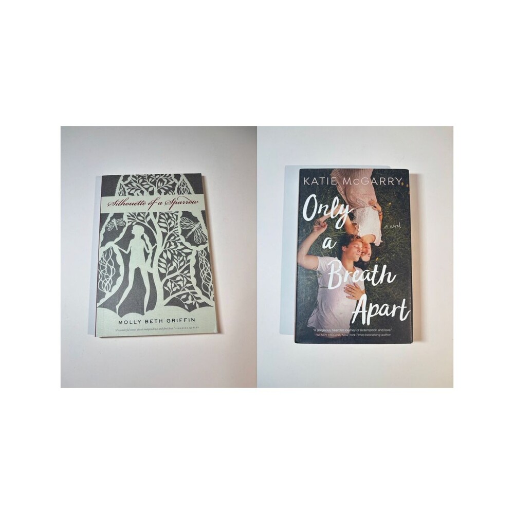 2 YA Fiction Books Silhouette of a Sparrow & Only A Breath Apart